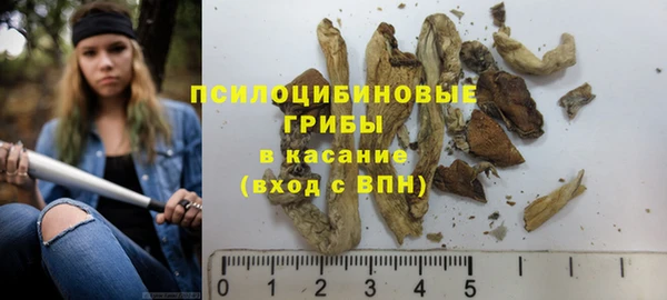 spice Вяземский