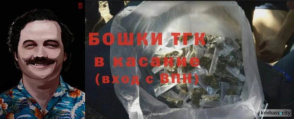 spice Вяземский