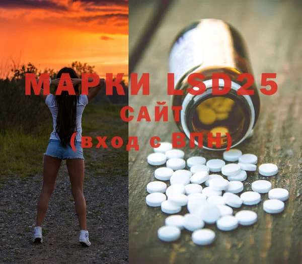 СК Вязники