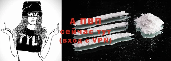 spice Вяземский