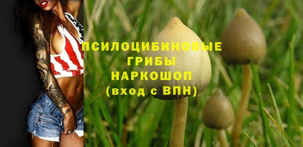 трава Горнозаводск