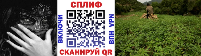 Канабис AK-47  Иланский 